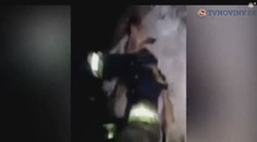 Z hasiče je hvězda internetu. Dal psovi umělé dýchání! VIDEO