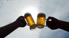 Noční můra pivařů: Úroda chmele je kvůli horku a suchu v ohrožení!