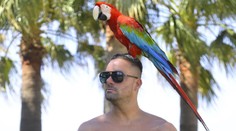 Švanci prožívá Survivor i na dovolené! S protivníkem šlo v souboji o vteřiny