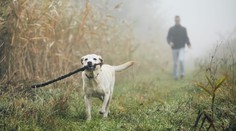 Česko pohltila mlha, žene se déšť. Meteorologové ukázali mapy