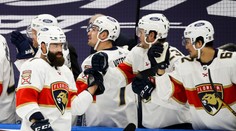 Gudas skóroval a přihrál na vítězný gól, uzdravený Malkin bodoval