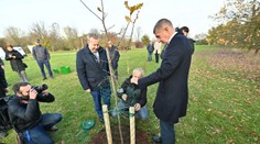 Politici sázeli v Průhonicích stromy, mají pomoci s klimatickými změnami