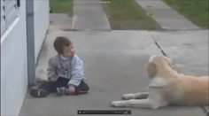 Dojemná psí láska! Tohle VIDEO dožene k slzám každého!