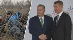 Babiš chce do Maďarska poslat policisty. Hlídali by hranici obehnanou plotem