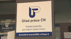 Uprchlíci z Ukrajiny se zabydlují v Česku. Snaží si najít práci