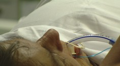 VÍKEND: Díky endoskopii lze vyléčit například i cukrovku