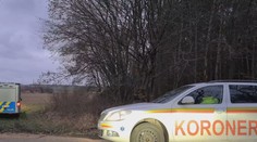 Hrůzný nález u Písku. Žena za městem našla 11 lidských lebek