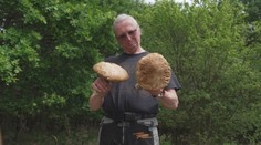 Houby rostou dříve. Letošní sezóna bude výjimečná, doufají mykologové