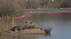 Vláda prodloužila stav nebezpečí v Hustopečích. Sanace půdy potrvá půl roku