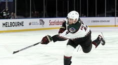 NHL řeší velký skandál. Hráč mohl přijít po ráně pukem o život. Kdo je na vině?