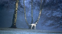 O víkendu si naposledy užijete teploty přes 10 °C, příští týden se výrazně ochladí