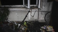 Hasiči zasahovali u hořících stromků. Lidé končili v nemocnici!