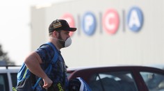 Další automobilka v Česku rozjíždí linky. TPCA obnovila výrobu v Kolíně