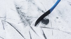 Parádní Michigan s českým podpisem. Útočník se v zámoří vytáhl
