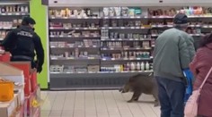 VIDEO: V supermarketu chytali divoké prase. Málem zranilo malé dítě