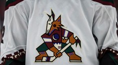 Vejmelka se s Arizonou stěhuje, Coyotes budou hrát na nejmenším stadionu NHL