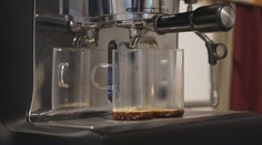 Belgičtí vědci vyrobili náhražku kávy z hrachu. Rozdíl prý nepoznáte