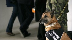 Příslušník policejního sboru kousnul pekaře a dostal padáka