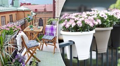 Vylepšete na jaře svůj balkon: Inspirujte se nápady v GALERII!