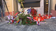 VIDEO: Češi si připomínají Den boje za svobodu a demokracii