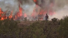 V Chorvatsku zuří obří požáry, spekuluje se o řádění žháře
