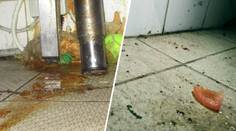 V oblíbené restauraci se proháněly myši. Inspektoři ji hned uzavřeli
