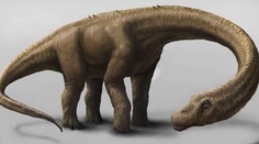 UNIKÁT: Vykopali kosterní pozůstatky největšího dinosaura!