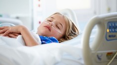 Do Evropy se dostala smrtící choroba. Nakazit se můžete od komára