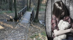 Ukážu ti zvíře, lákal úchyl děti do lesoparku. Pak znásilnil holčičku