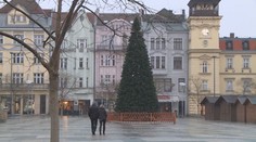 Boj o vánoční stromek v Ostravě: Plastový, nebo přírodní?