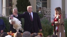 VIDEO: Američané se připravují na Den díkuvzdání