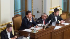 Vyšší tresty za týrání zvířat neprošly, část poslanců chce bojovat dál