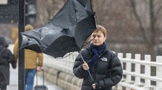 VÝSTRAHA: Do Česka se přihnal silný vítr. Může ničit domy a lámat stromy