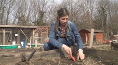 Počet zahrádkářů v Česku roste. Komunitní zahrady mají dlouhé čekací listiny