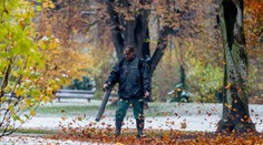 Česko se topí v listí! Lidé ani města ho nestíhají odklízet