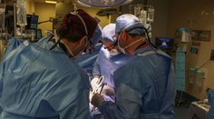První člověk s transplantovanou prasečí ledvinou po dvou měsících zemřel