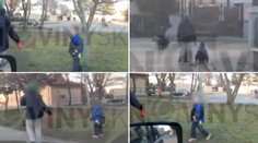 Babička venčila vnuka na vodítku! Psychologové jsou zděšeni