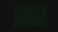 Vydražila se nejdražší golfová hůl světa. Woods ji měl na trénink