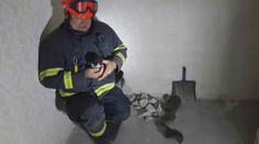 Hasiči museli vybourat část zdi, aby se dostali pro uvázlé kotě