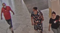 Trojice ukradla šperky za více než 300 tisíc, policie po ní pátrá
