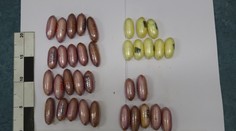 Na Ruzyni zadrželi dalšího pašeráka drog, ve střevech měl 1,5 kilogramu kokainu