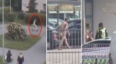 Naháč drze nakráčel do obchodu. Je to normální, tvrdil strážníkům