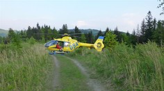 Tragická smrt v Beskydech: Dřevorubce zabil padající strom