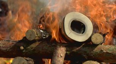 VIDEO: V polské Poznani pálí na protest sloní kly