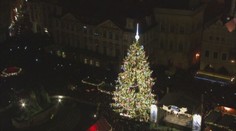 Vánoční strom už jede do Prahy! Podívejte se na něj