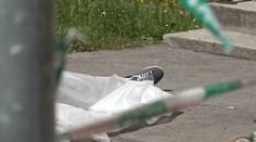 Rodinná tragédie: Otec vyskočil z okna, dcera zabila babičku!