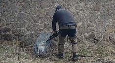 VIDEO: Hrozivé týrání zvířat u Prahy. Správce obory měl chytat a střílet kočky