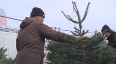 O předvánoční brigády je velký zájem. Při hledání práce pomůže aplikace
