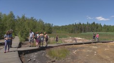 Tipy na výlety: Rašeliniště i bahenní sopky. Podívejte se do českého Yellowstonu