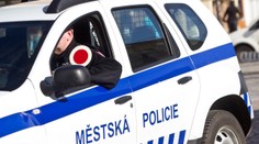 Mladík zemřel po zásahu strážníků v Březnici. Policie zveřejnila příčinu smrti